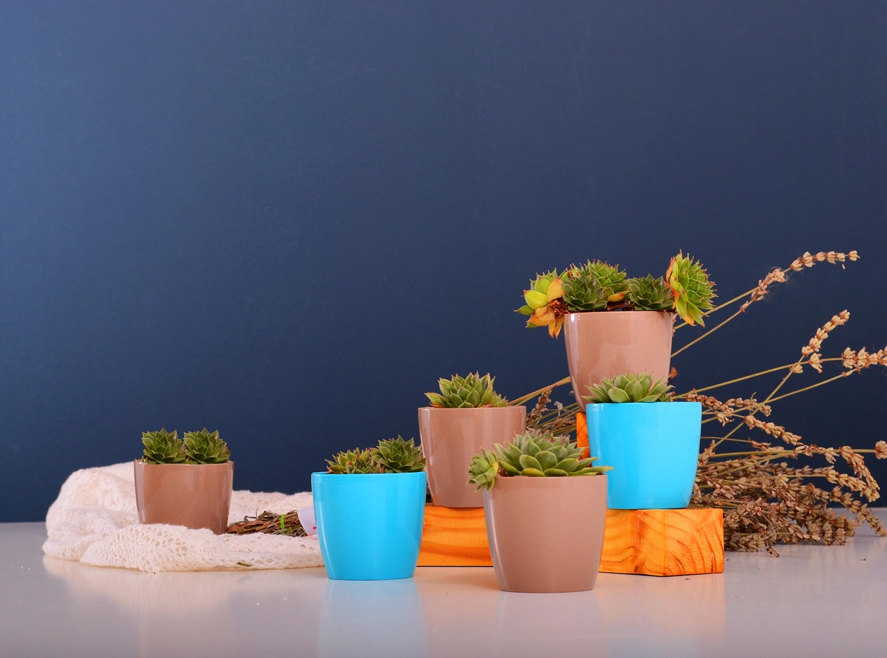 The Windowsill Harvest: Growing Herbs Indoors All Year Round
